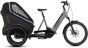 Cube Trike Family Hybrid 2023 Electric Tricycle