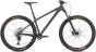 NS Bikes Eccentric Alu 29 2025 Bike