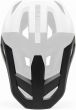 Fox Rampage Helmet Visor