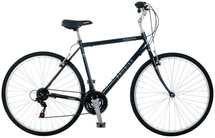 ProBike Horizon 2024 Bike