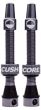 CushCore Tubeless Valves