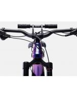 Kids Ride Shotgun 2.0 Childs Handlebars
