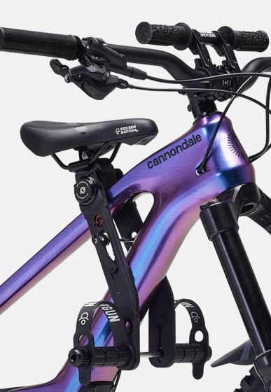 Kids Ride Shotgun 2.0 Childs Bike Seat & Handlebars