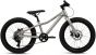 Batch 20-Inch Kids Mountain Bike