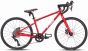 Frog Road 61 24-Inch 2025 Junior Bike