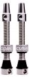 CushCore Tubeless Valves