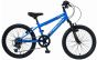 Falcon Samurai 20-Inch Junior Bike
