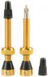 Tubolight Tubeless Valves