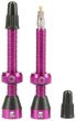 Tubolight Tubeless Valves