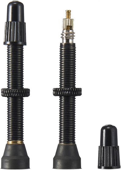 Ritchey Tubeless Valve