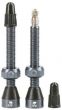 Tubolight Tubeless Valves