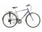 Raleigh Pioneer Tour Crossbar 2023 Bike