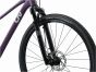 Liv Rove 1 2025 Womens Bike
