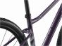 Liv Rove 1 2025 Womens Bike