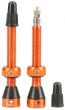 Tubolight Tubeless Valves
