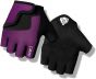 Giro Bravo Junior Short Finger Gloves