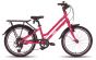 Frog City 53 20-Inch Kids Bike