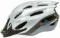 Raleigh Mission Evo Helmet