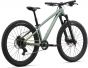 Liv STP 24 2026 Junior Bike