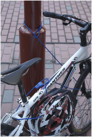 SystemEX Noose Cable Lock
