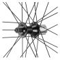 Campagnolo Calima C17 700c Rear Wheel
