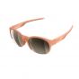 POC Avail Sunglasses