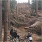 Halo Skelta MT 27.5-Inch Rear Wheel