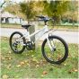 Falcon Starlight 20-Inch Junior Bike