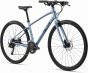 Liv Alight Disc 2 2025 Womens Bike