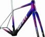 Giant TCR Advanced SL Team 2026 Frameset