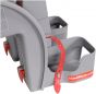 WeeRide Safe Child Seat