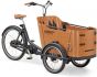 Babboe Go Mountain 2026 Electric Cargo Bike