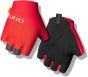 Giro Supernatural Lite Short Finger Gloves