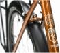 Genesis Tour De Fer 20 2025 Bike