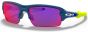 Oakley Flak XS Youth Fit Sunglasses