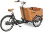 Babboe Go Mountain 2026 Electric Cargo Bike