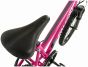 Falcon Jade 20-Inch Junior Bike
