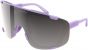 POC Devour Sunglasses