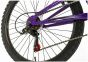Falcon Siren 24-Inch Junior Bike