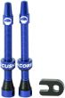 CushCore Tubeless Valves
