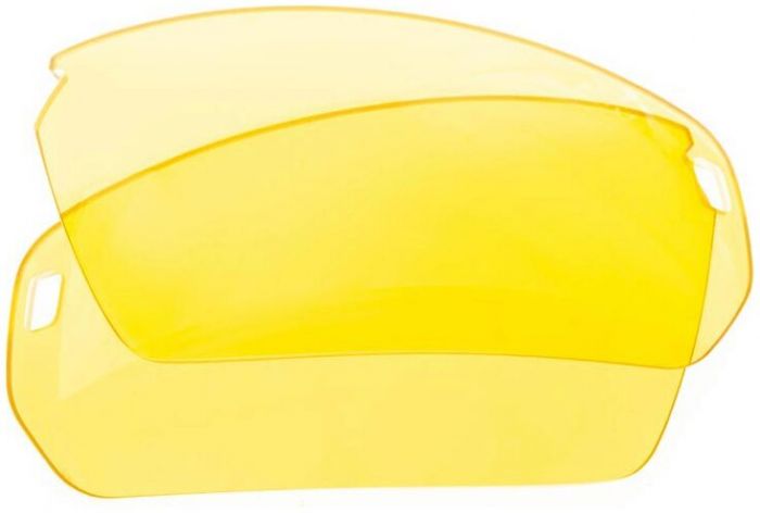 BZ Optics Replacement Lens