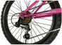Falcon Jade 20-Inch Junior Bike