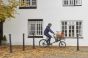 Ridgeback Electron Butcher 2024 Electric Bike