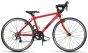 Frog Road 67 24-Inch Junior Bike