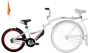 WeeRide Co Pilot Kids Tagalong Trailer Bike