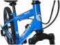 Falcon Samurai 20-Inch Junior Bike