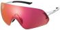 Shimano Aerolite Panoramic Glasses