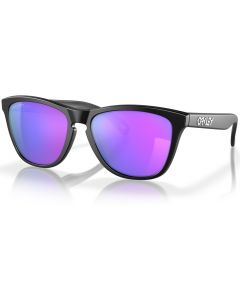 Oakley Frogskins Sunglasses
