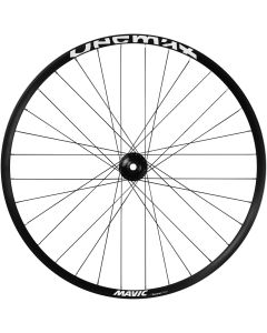 Mavic Deemax Park Disc 26-Inch Front Wheel