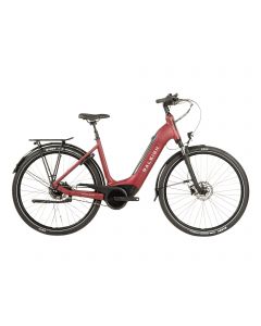 Raleigh Motus Tour Low Step Hub 2023 Electric Bike